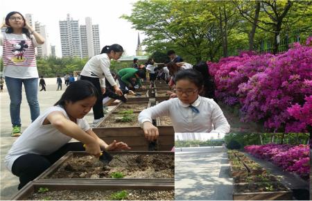 장안구 초등학교 대상으로 학교텃밭 조성사업 실시